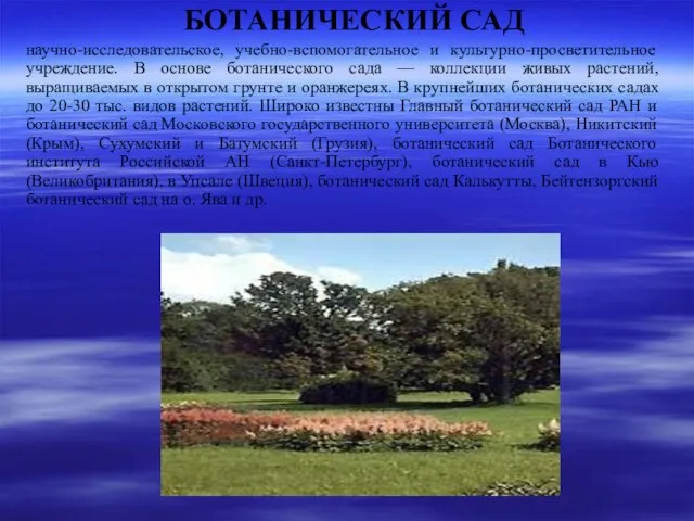 БОТАНИЧЕСКИЙ САД научно-исследовательское, учебно-вспомогательное и культурно-просветительное учреждение. В основе ботанического сада