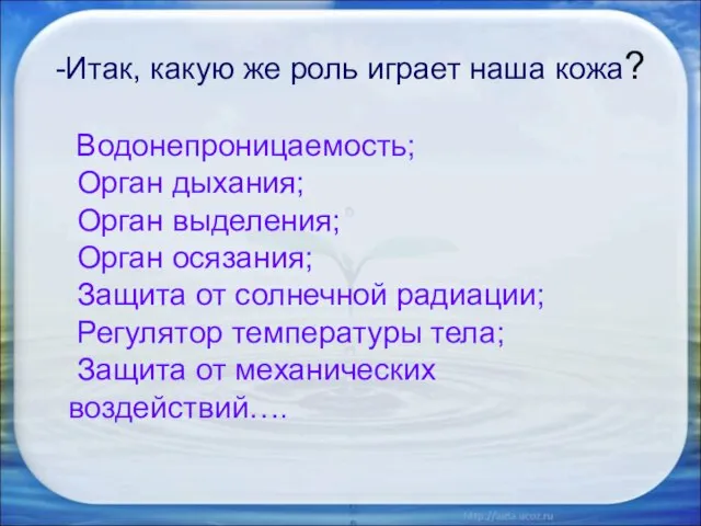 -Итак, какую же роль играет наша кожа? Водонепроницаемость; Орган дыхания; Орган