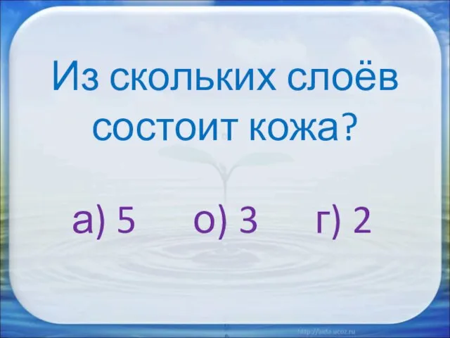 Из скольких слоёв состоит кожа? а) 5 о) 3 г) 2