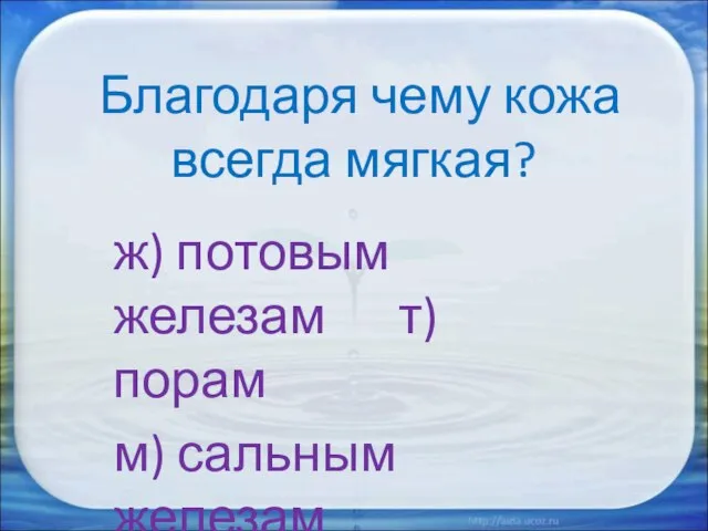 Благодаря чему кожа всегда мягкая? ж) потовым железам т) порам м) сальным железам