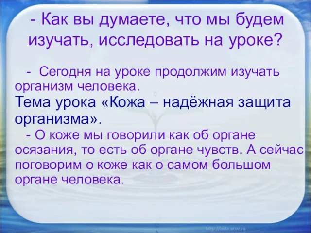 - Как вы думаете, что мы будем изучать, исследовать на уроке?