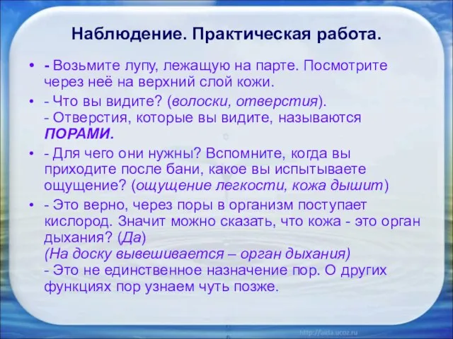 Наблюдение. Практическая работа. - Возьмите лупу, лежащую на парте. Посмотрите через