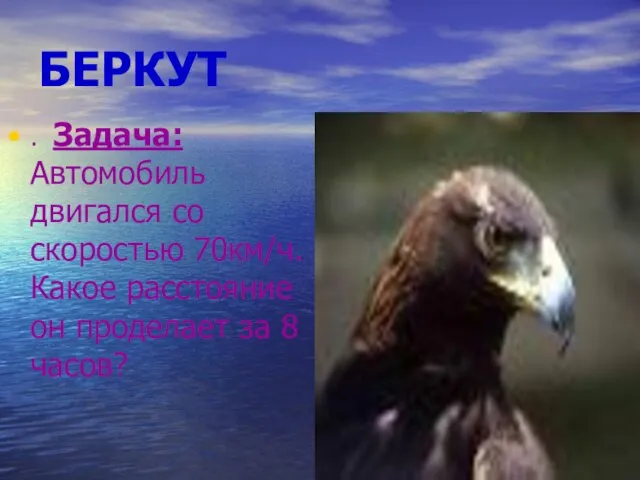 БЕРКУТ . Задача: Автомобиль двигался со скоростью 70км/ч. Какое расстояние он проделает за 8 часов?