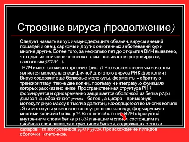 Строение вируса (продолжение) Следует назвать вирус иммунодефицита обезьян, вирусы анемий лошадей