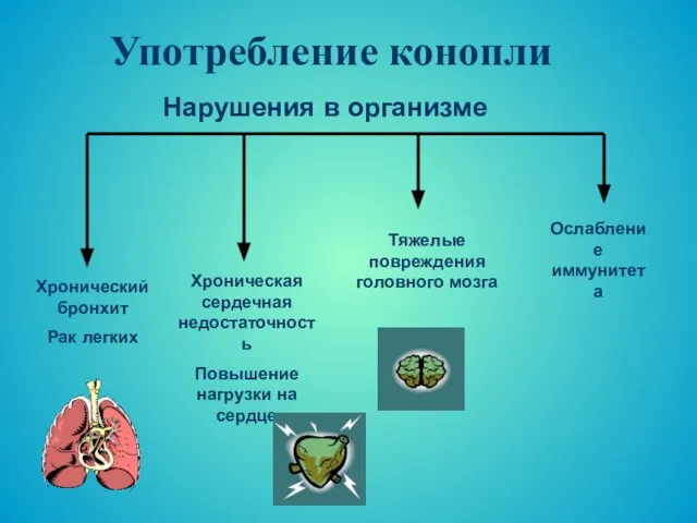 Употребление конопли Хронический бронхит Рак легких Хроническая сердечная недостаточность Повышение нагрузки