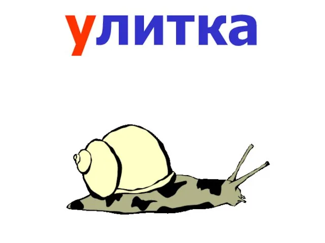 улитка