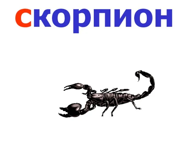 скорпион