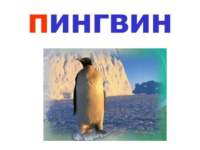 пингвин