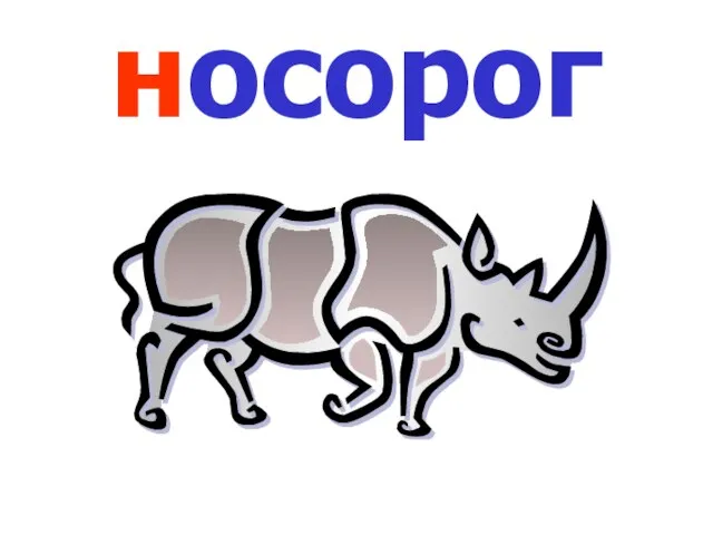 носорог