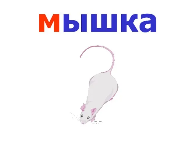 мышка