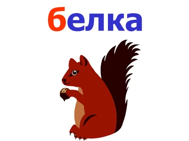 белка