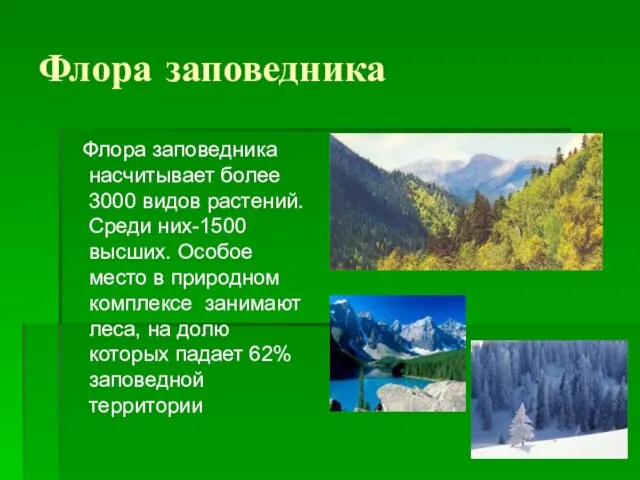 Флора заповедника Флора заповедника насчитывает более 3000 видов растений. Среди них-1500