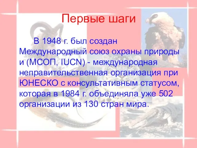 Первые шаги В 1948 г. был создан Международный союз охраны природы