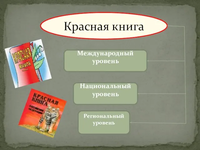 Международный уровень Национальный уровень Региональный уровень Красная книга