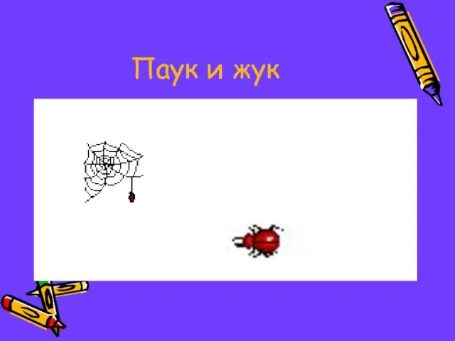 Паук и жук