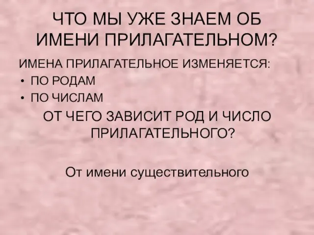 ЧТО МЫ УЖЕ ЗНАЕМ ОБ ИМЕНИ ПРИЛАГАТЕЛЬНОМ? ИМЕНА ПРИЛАГАТЕЛЬНОЕ ИЗМЕНЯЕТСЯ: ПО