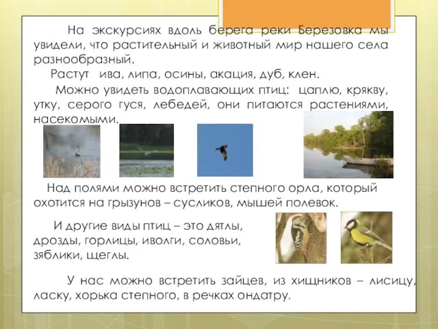 На экскурсиях вдоль берега реки Березовка мы увидели, что растительный и