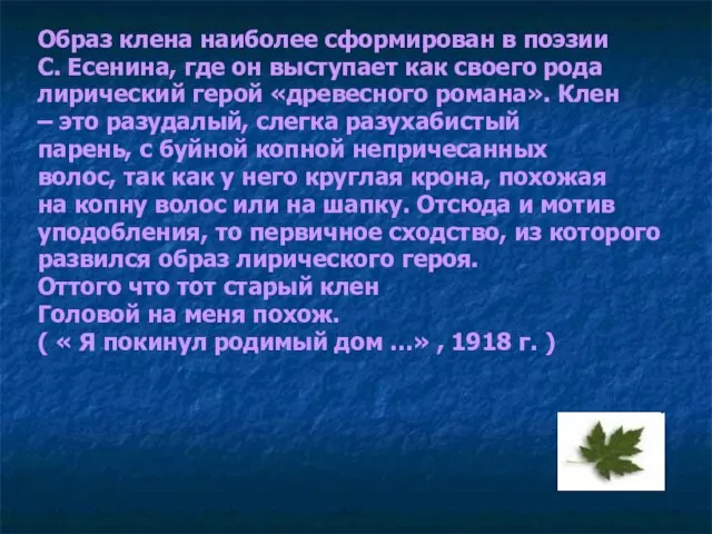 Образ клена наиболее сформирован в поэзии С. Есенина, где он выступает