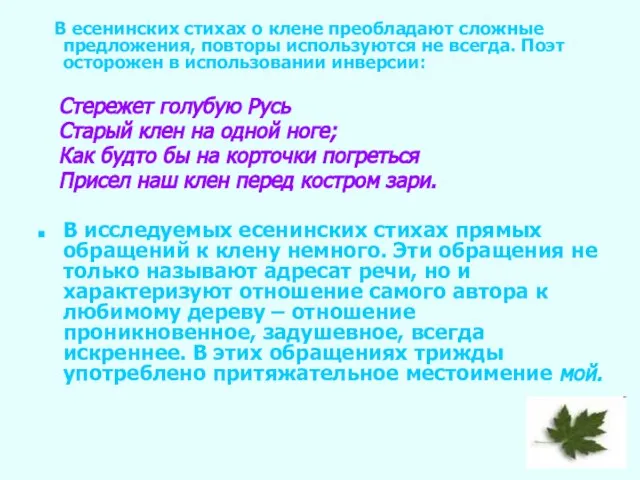 В есенинских стихах о клене преобладают сложные предложения, повторы используются не