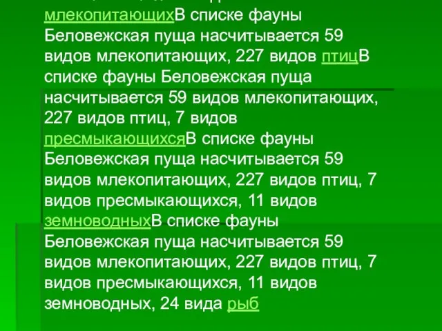 В списке фауны Беловежская пуща насчитывается 59 видов млекопитающихВ списке фауны