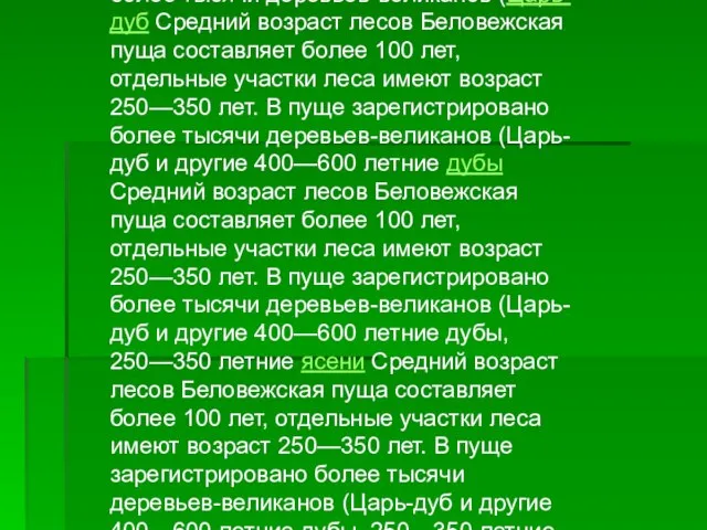 Беловежская пуща является уникальным и крупнейшим массивом древних лесов, типичных для