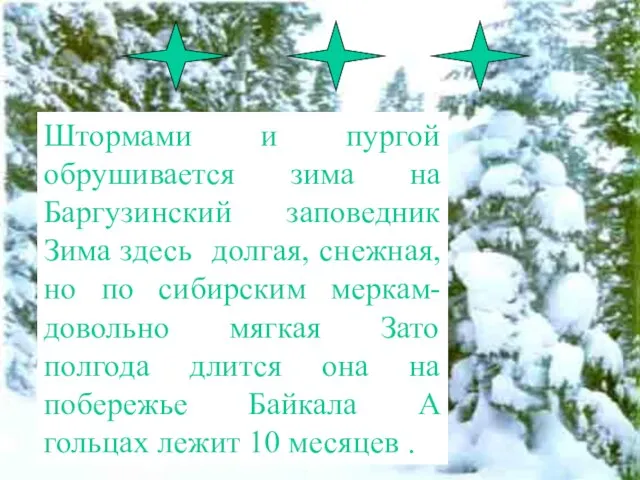 Штормами и пургой обрушивается зима на Баргузинский заповедник Зима здесь долгая,