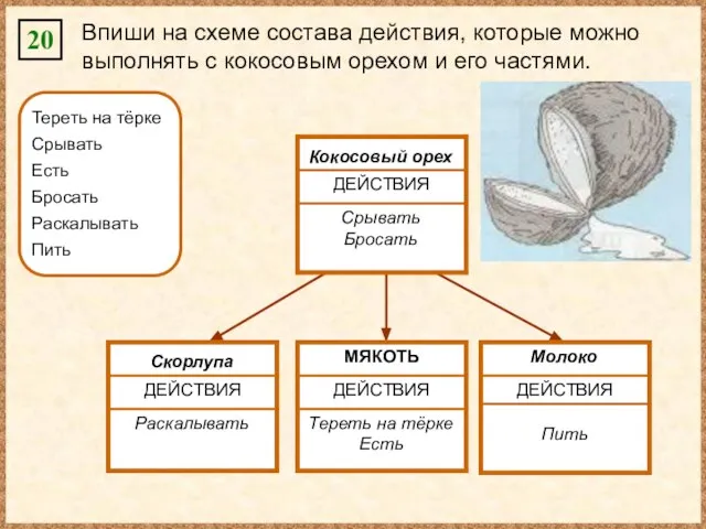 20 Впиши на схеме состава действия, которые можно выполнять с кокосовым