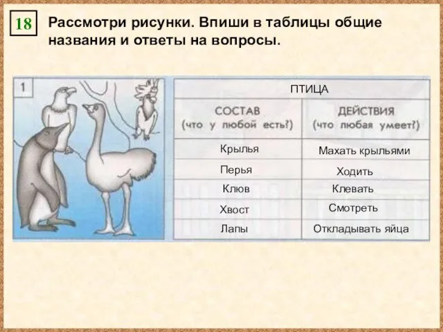 Рассмотри рисунки. Впиши в таблицы общие названия и ответы на вопросы.