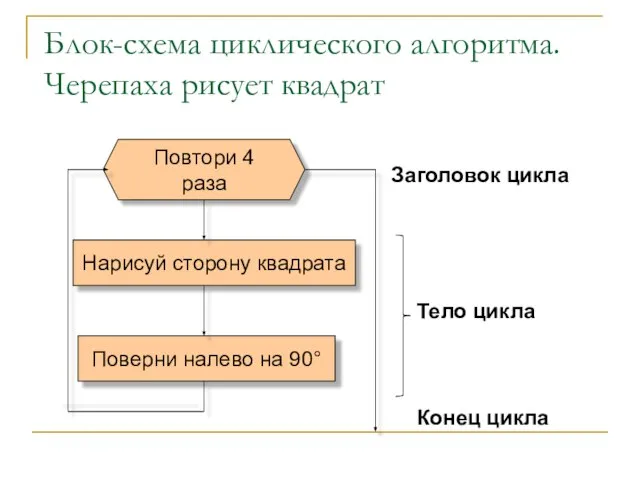 Блок-схема циклического алгоритма. Черепаха рисует квадрат Заголовок цикла