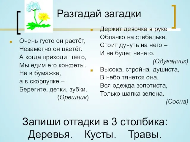 Разгадай загадки Очень густо он растёт, Незаметно он цветёт. А когда