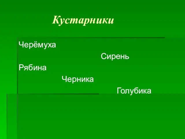 Кустарники Черёмуха Сирень Рябина Черника Голубика