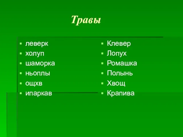 Травы леверк холуп шаморка ньоплы ощхв ипаркав Клевер Лопух Ромашка Полынь Хвощ Крапива