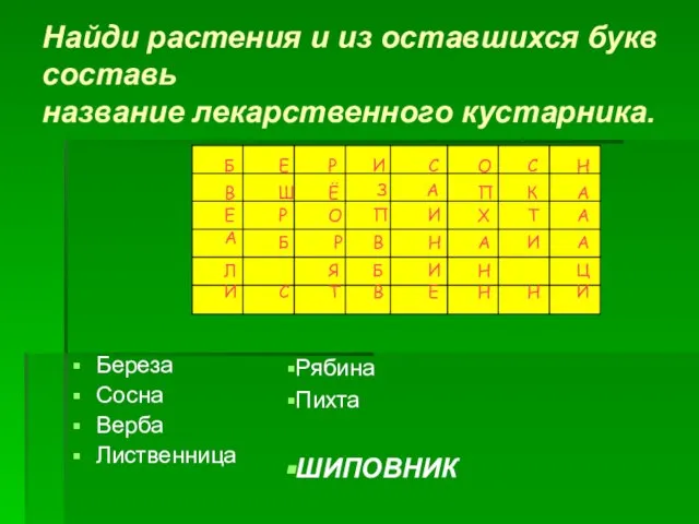 Найди растения и из оставшихся букв составь название лекарственного кустарника. Береза