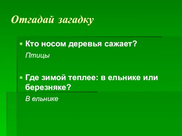 Отгадай загадку Кто носом деревья сажает? Птицы Где зимой теплее: в ельнике или березняке? В ельнике