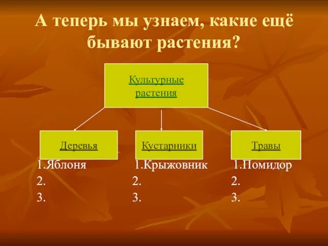 А теперь мы узнаем, какие ещё бывают растения? 1.Яблоня 1.Крыжовник 1.Помидор