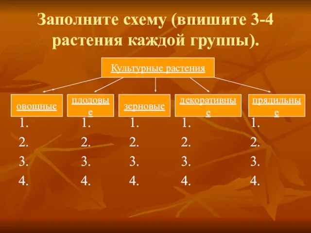 Заполните схему (впишите 3-4 растения каждой группы). 1. 1. 1. 1.