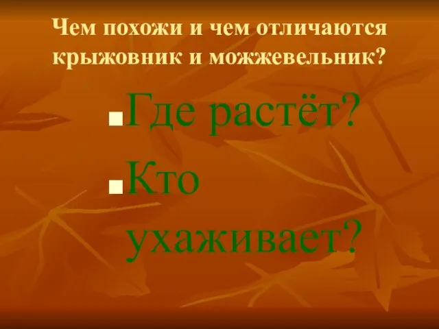 Чем похожи и чем отличаются крыжовник и можжевельник? Где растёт? Кто ухаживает?