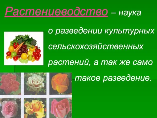 Растениеводство – наука о разведении культурных сельскохозяйственных растений, а так же само такое разведение.