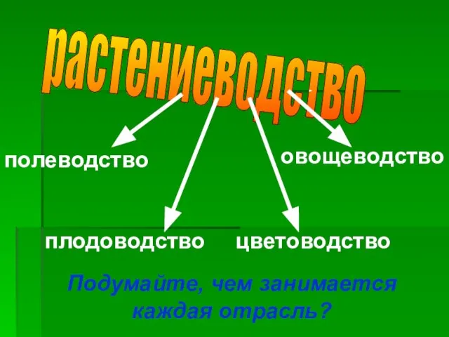 растениеводство полеводство овощеводство плодоводство цветоводство Подумайте, чем занимается каждая отрасль?