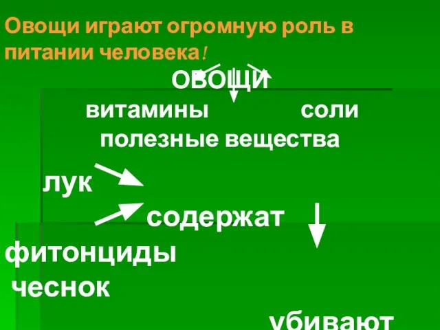 Овощи играют огромную роль в питании человека! ОВОЩИ витамины соли полезные