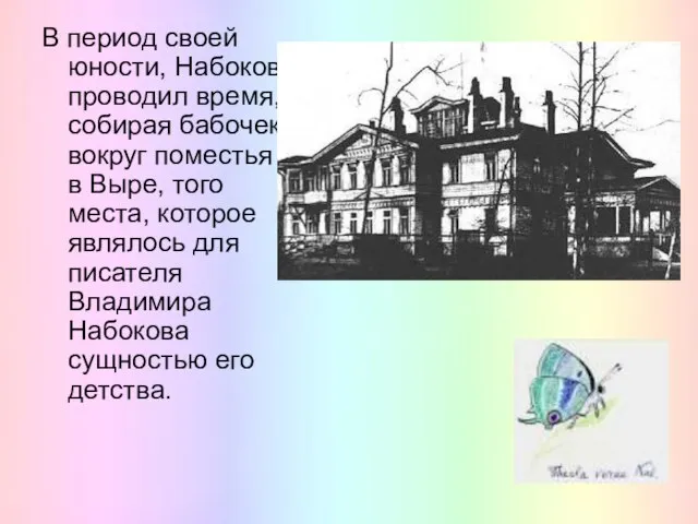 В период своей юности, Набоков проводил время, собирая бабочек вокруг поместья