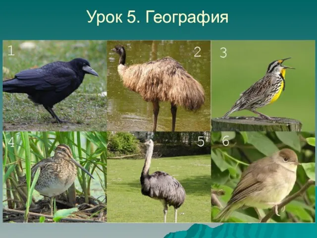 Урок 5. География