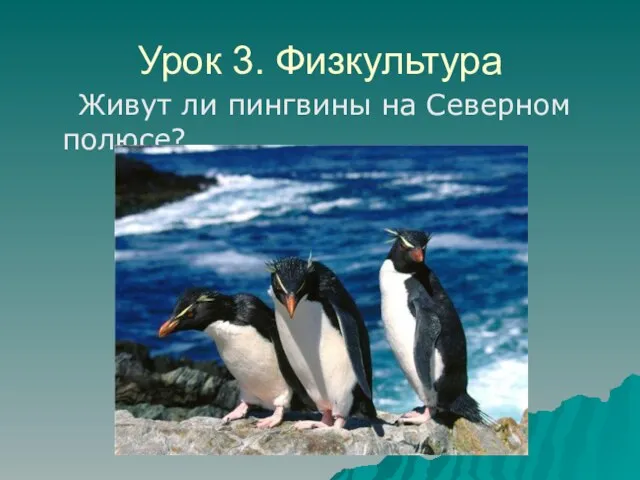 Урок 3. Физкультура Живут ли пингвины на Северном полюсе?