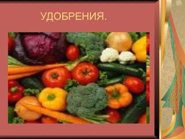 УДОБРЕНИЯ.