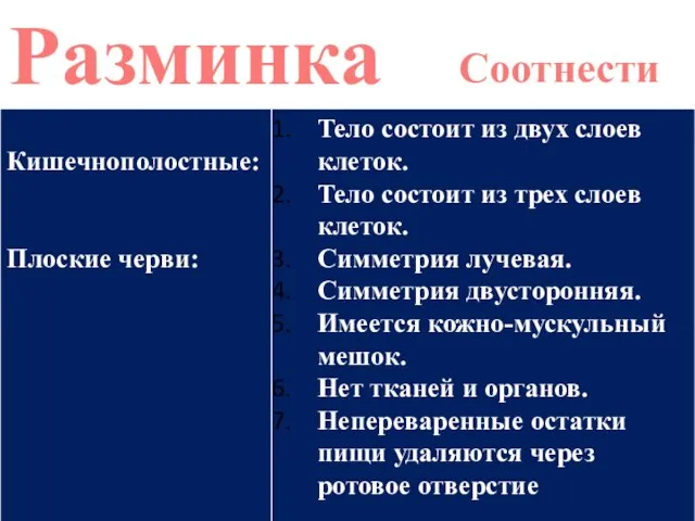 Разминка Соотнести