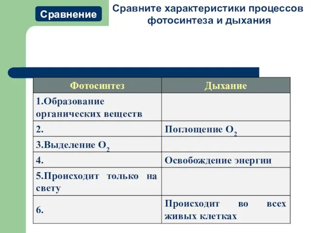 Сравните характеристики процессов фотосинтеза и дыхания Сравнение