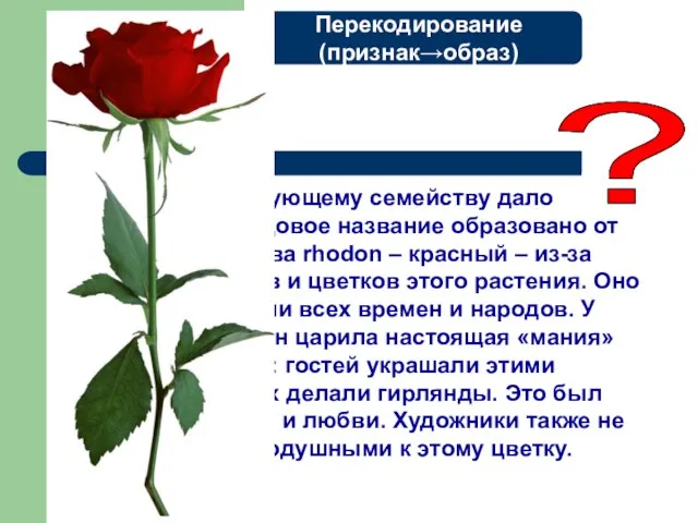 Название следующему семейству дало растение… Родовое название образовано от греческого слова