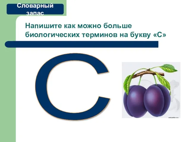 Напишите как можно больше биологических терминов на букву «С» С Словарный запас