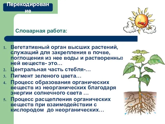 Словарная работа: Вегетативный орган высших растений, служащий для закрепления в почве,