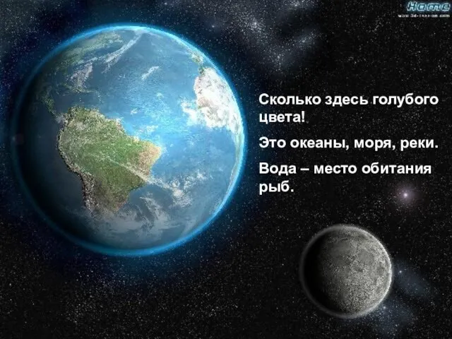 Сколько здесь голубого цвета! Это океаны, моря, реки. Вода – место обитания рыб.